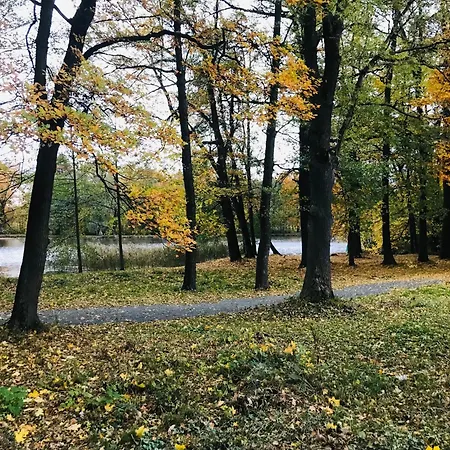 Zielona Prowincja