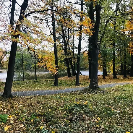 Zielona Prowincja